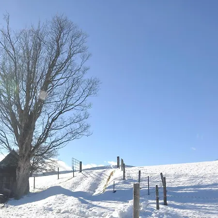 Grebenzen Eiszeit * Sankt Lambrecht
